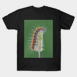 Small Oak Eggar moth caterpillar T-Shirt